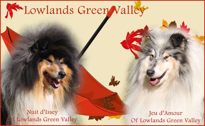 of Lowlands Green Valley - Naissance attendue vers le 18 octobre 2020