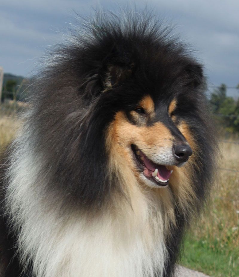 Obsession night of Lowlands Green Valley